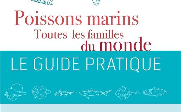 Poissons marins – Toutes les familles du monde