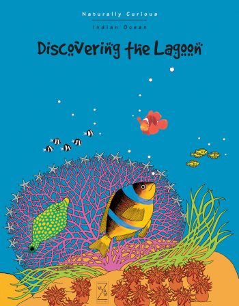 À la découverte du lagon