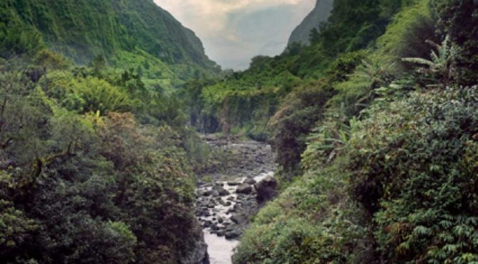 L’art du paysage à La Réunion