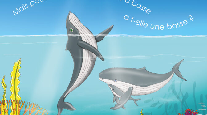 Mais pourquoi donc la baleine à bosse a-elle une bosse ?
