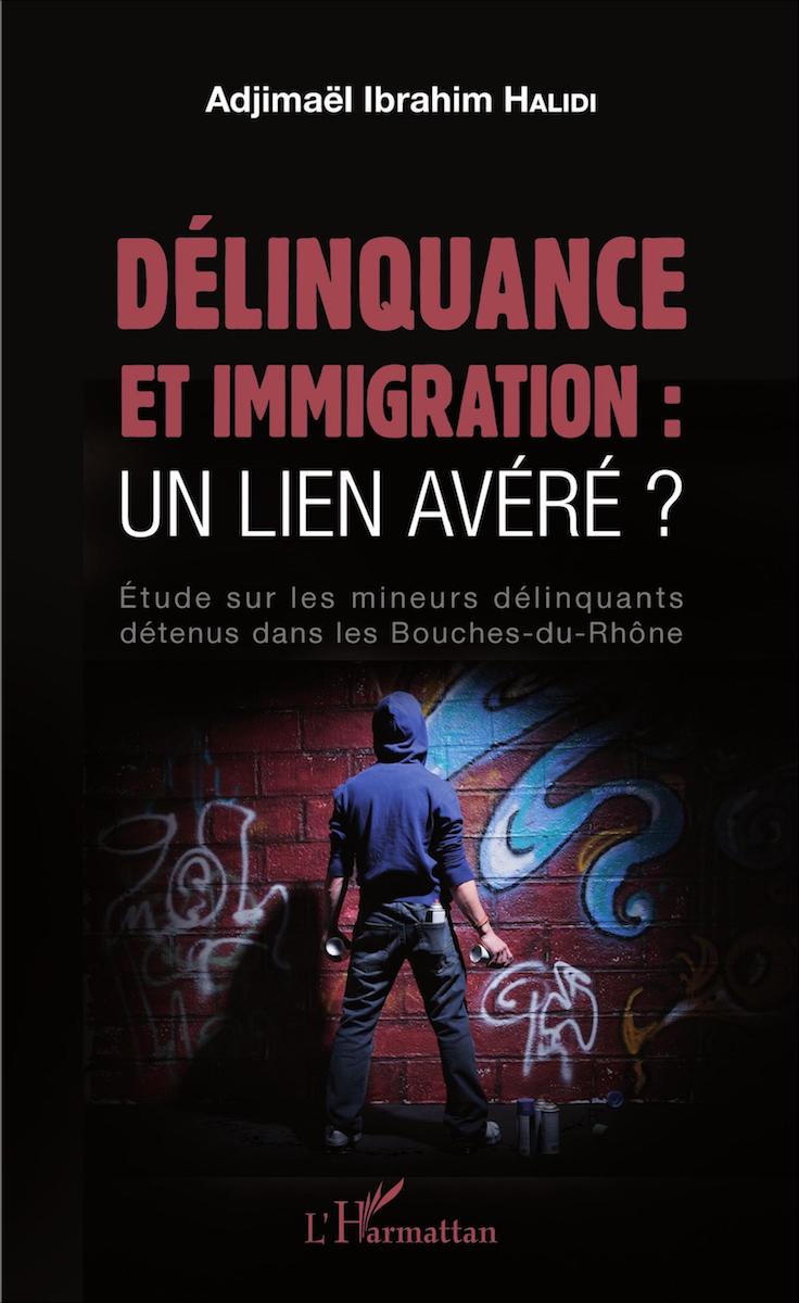 Délinquance et immigration : un lien avéré ?  - Étude sur les mineurs délinquants détenus dans les Bouches-du-Rhône
