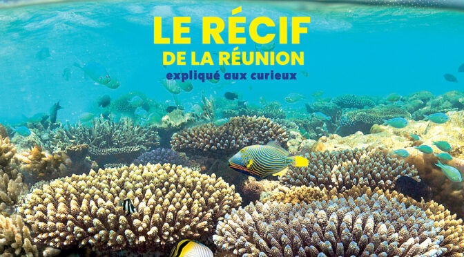 Le récif de La Réunion expliqué aux curieux