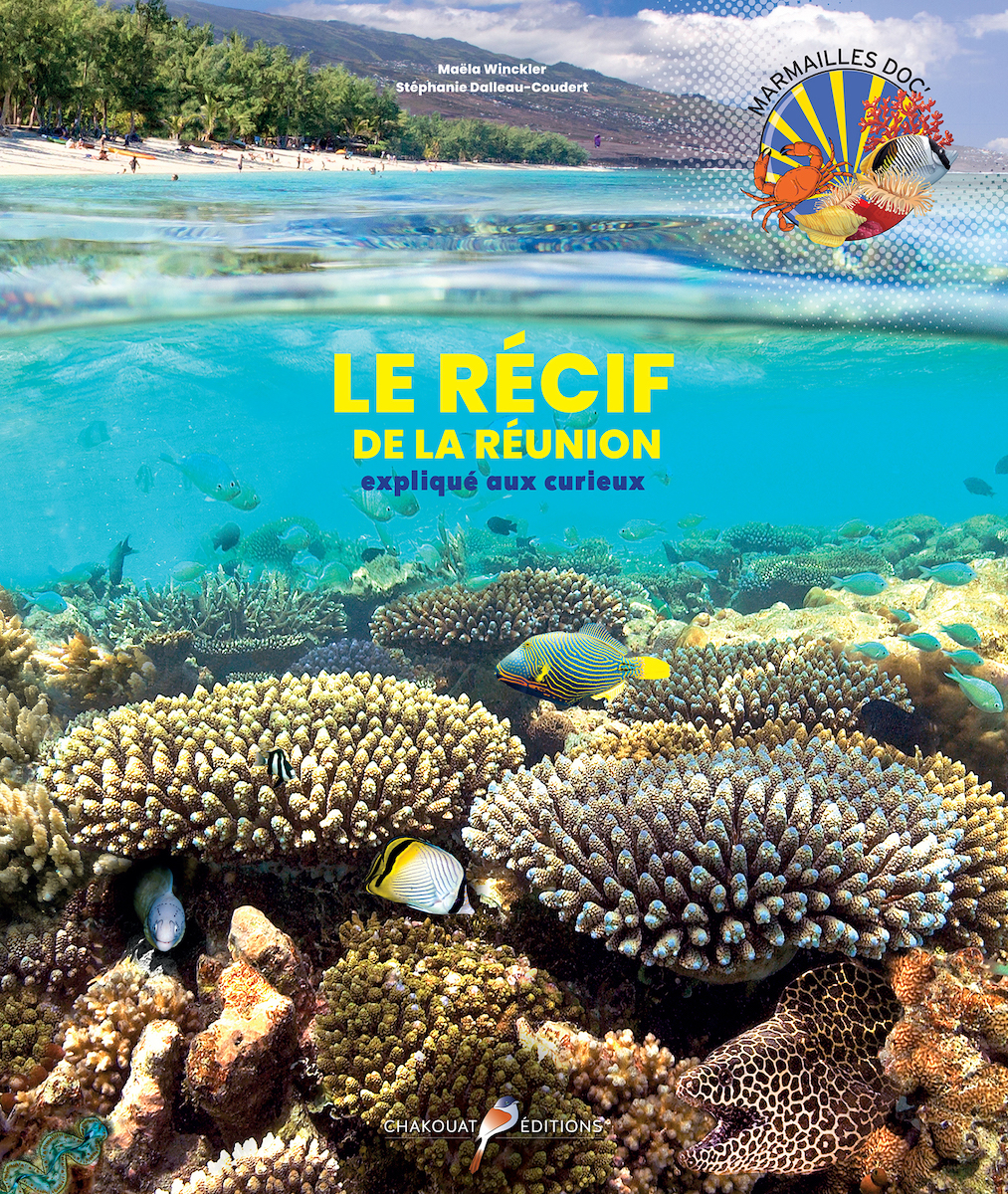 Le récif de La Réunion expliqué aux curieux