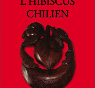 L’hibiscus chilien