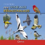 L'essentiel des oiseaux de La Réunion