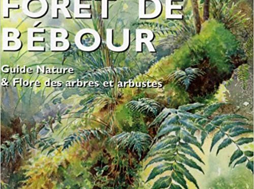 Forêt de Bébour - Guide nature & flore des arbres et arbustes