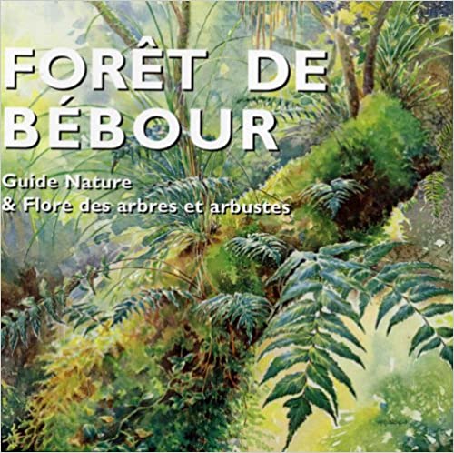 Forêt de Bébour - Guide nature & flore des arbres et arbustes