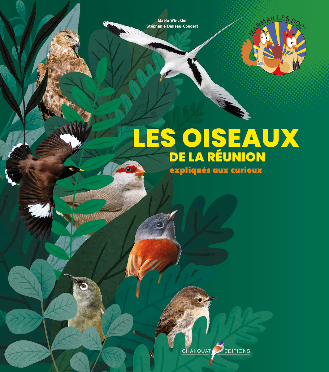 Les oiseaux de La Réunion expliqués aux curieux
