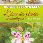 Huiles essentielles - L'âme des plantes aromatiques