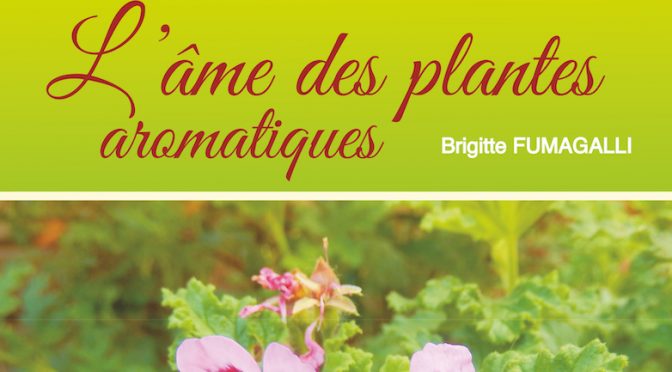 Huiles essentielles – L’âme des plantes aromatiques