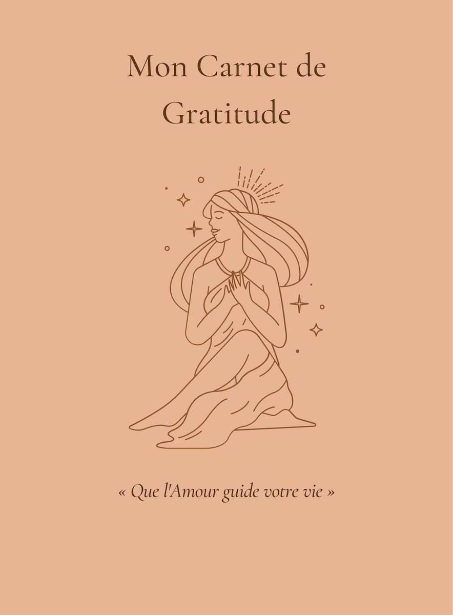 Mon carnet de gratitude (Rose éternel) - La Réunion des Livres