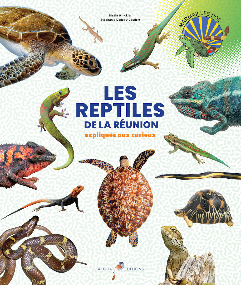 Les reptiles de La Réunion expliqués aux curieux