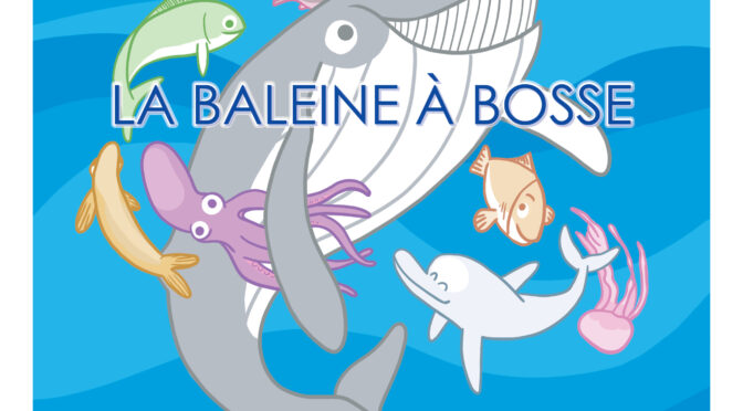 La baleine à bosse