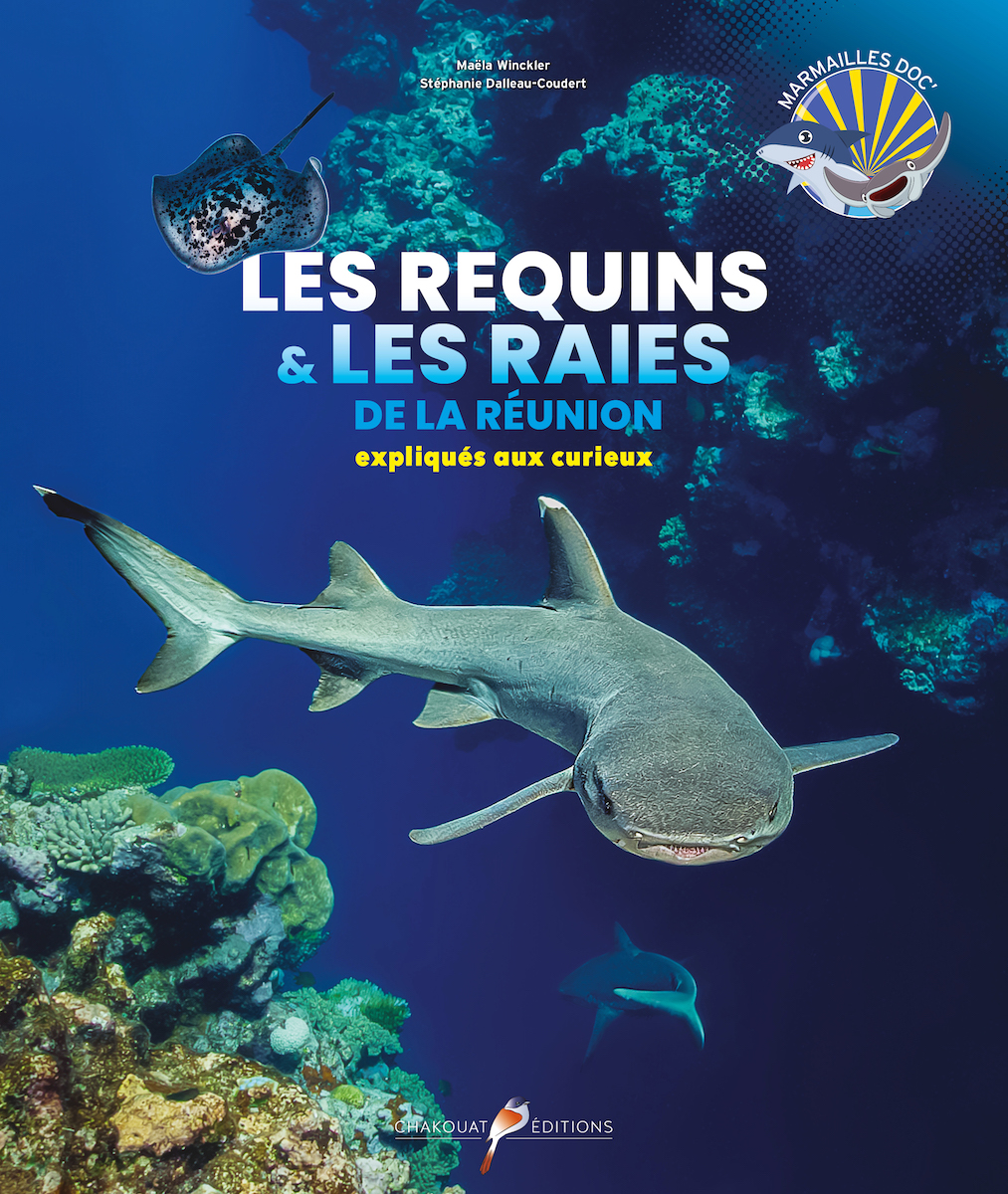 Les requins & les raies de La Réunion expliqués aux curieux